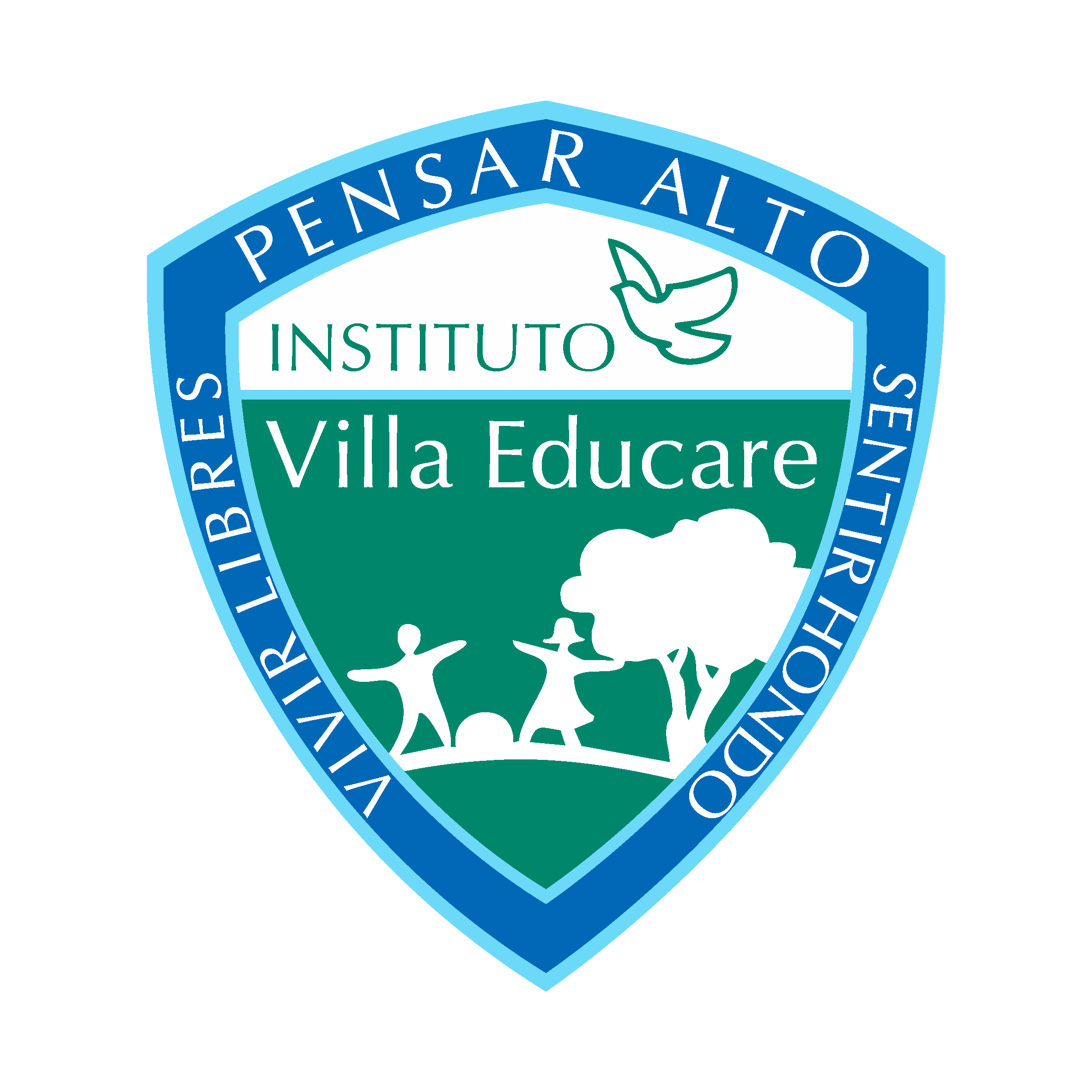 Logo Instituto Villa Educare